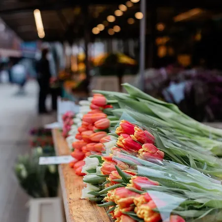 Meridian * Gehrden (Lower-Saxony)